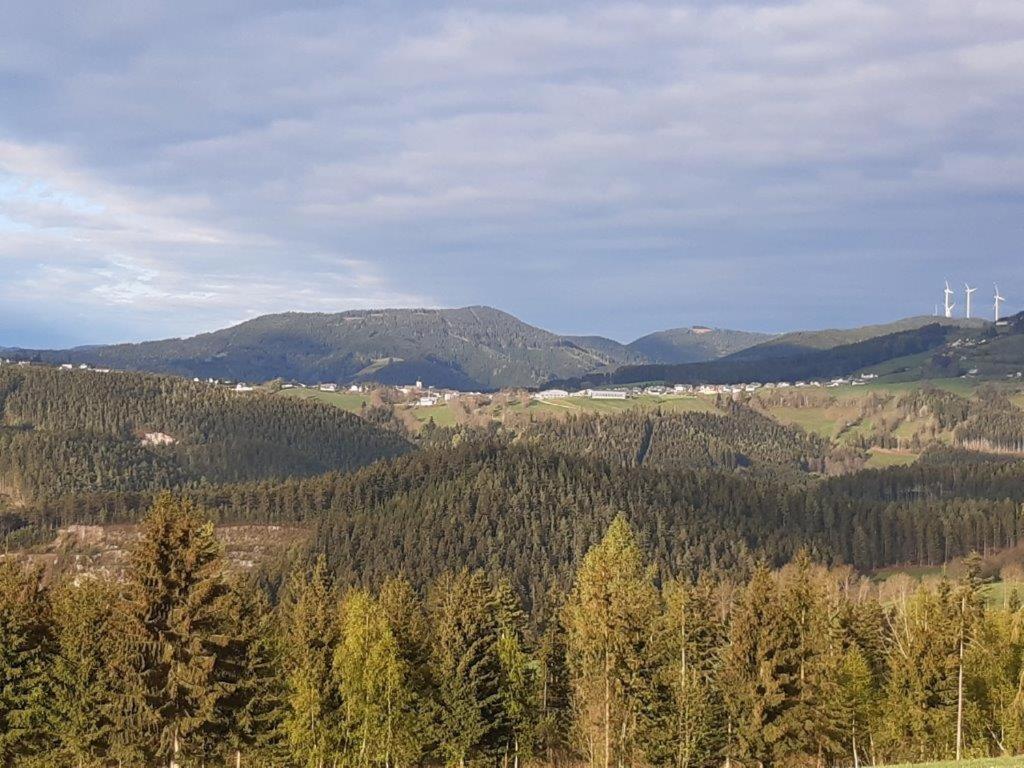 Вілла Chalet Teufelsteinblick Фішбах Екстер'єр фото