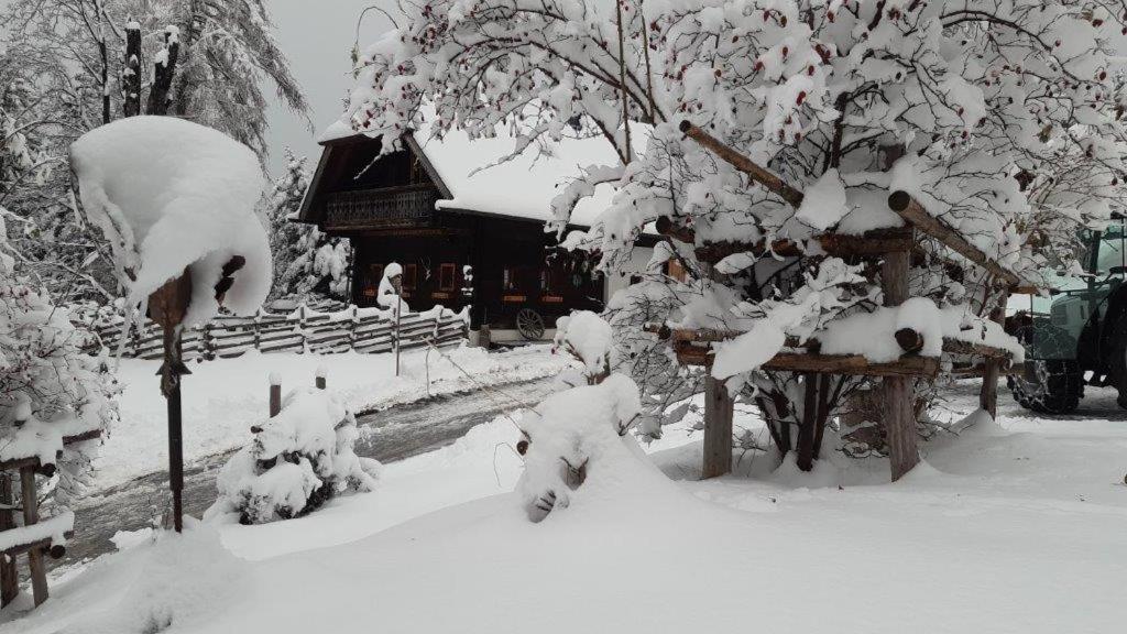 Вілла Chalet Teufelsteinblick Фішбах Екстер'єр фото